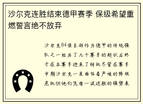 沙尔克连胜结束德甲赛季 保级希望重燃誓言绝不放弃