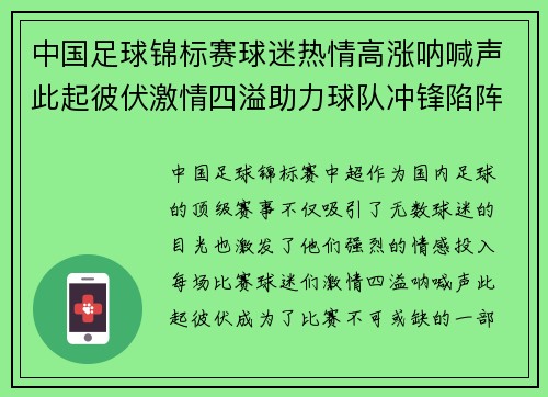中国足球锦标赛球迷热情高涨呐喊声此起彼伏激情四溢助力球队冲锋陷阵