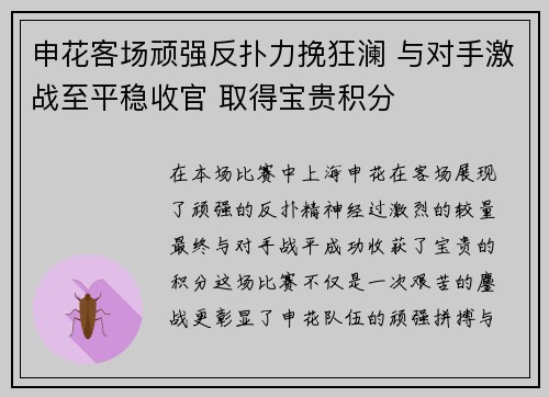 申花客场顽强反扑力挽狂澜 与对手激战至平稳收官 取得宝贵积分